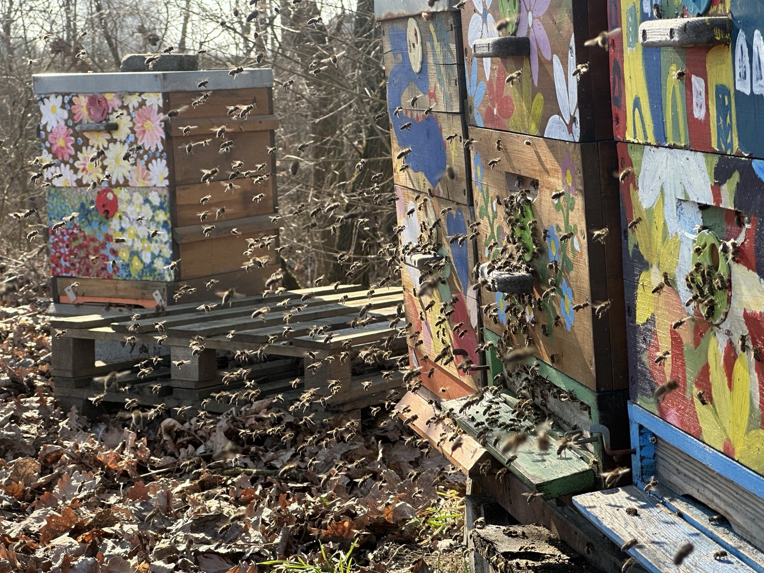 When and How to Do the First Spring Inspection Without Mistakes