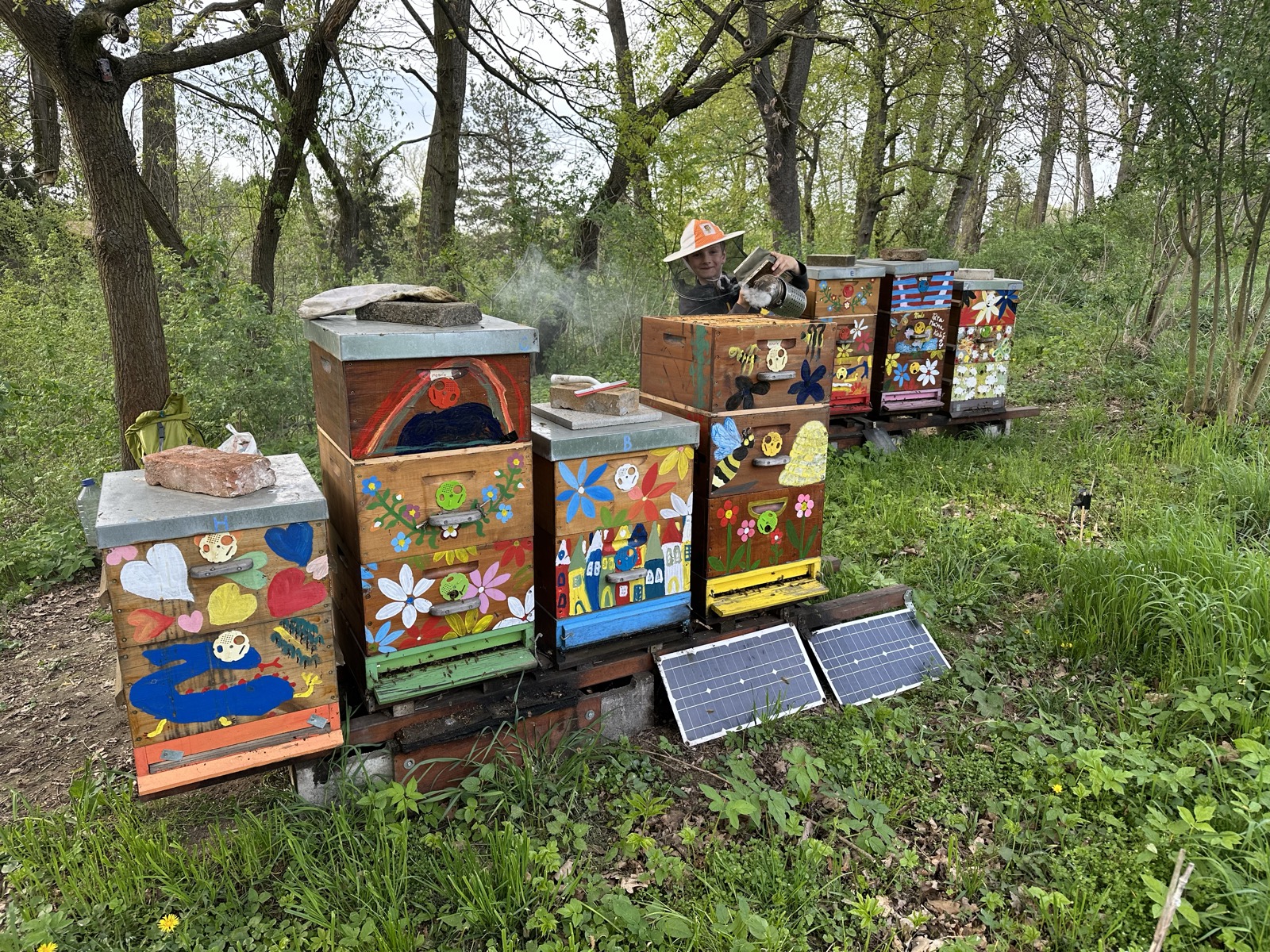 Apiary with colorful hives during spring inspection