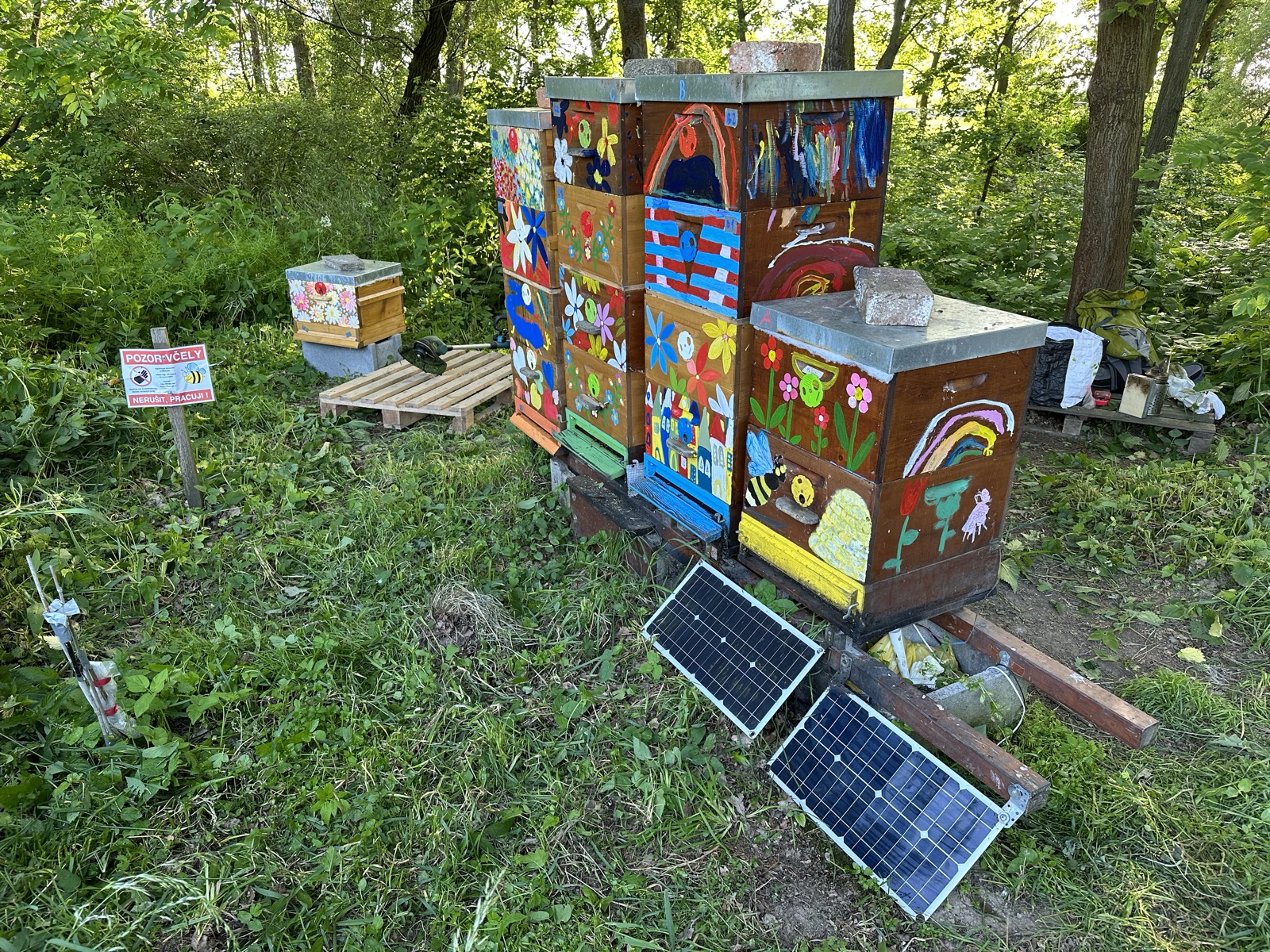 Apiary with monitoring equipment and solar power